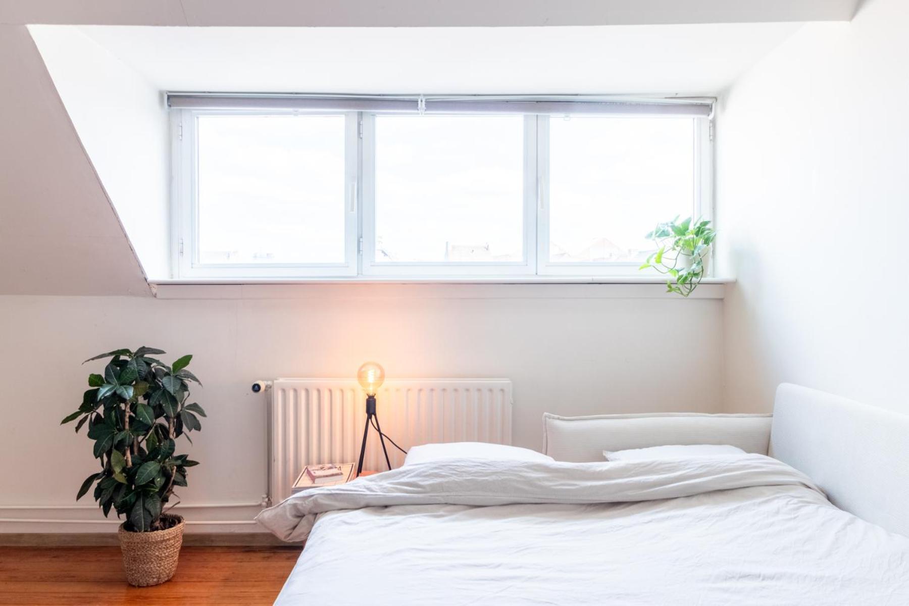 Guesthouse Private Studio Nearby Old Town Ghent Gante Exterior foto